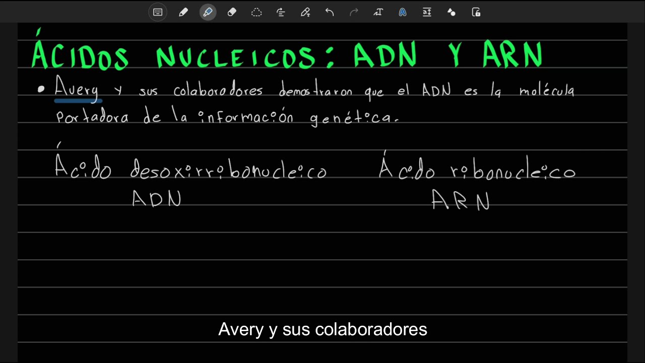 Ácidos nucleicos: ADN y ARN | Moléculas orgánicas - Examen UNAM