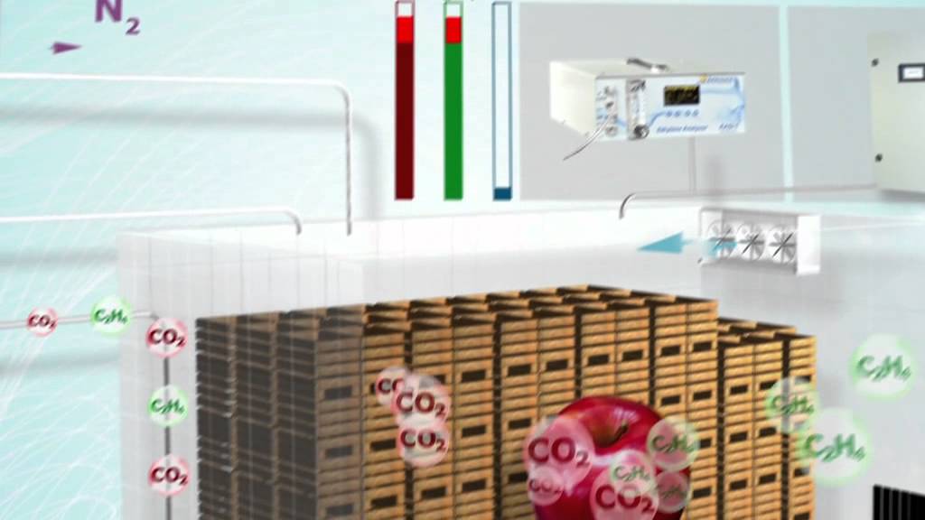 National Pneumatic - Conservation des fruits et l&eacute;gumes en atmosph&egrave;res contr&ocirc;l&eacute; ULO - Absoger
