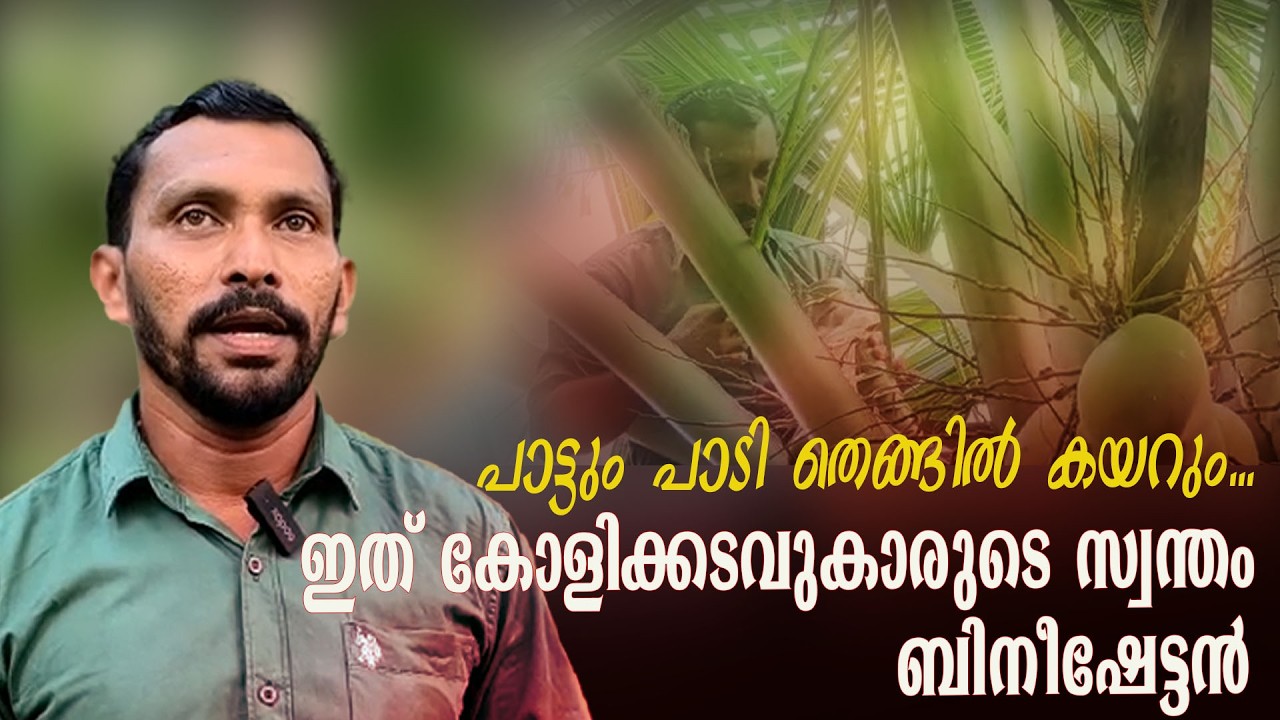 പാട്ടും പാടി തെങ്ങിൽ കയറും... ഇത് കോളിക്കടവുകാരുടെ സ്വന്തം ബിനീഷേട്ടൻ