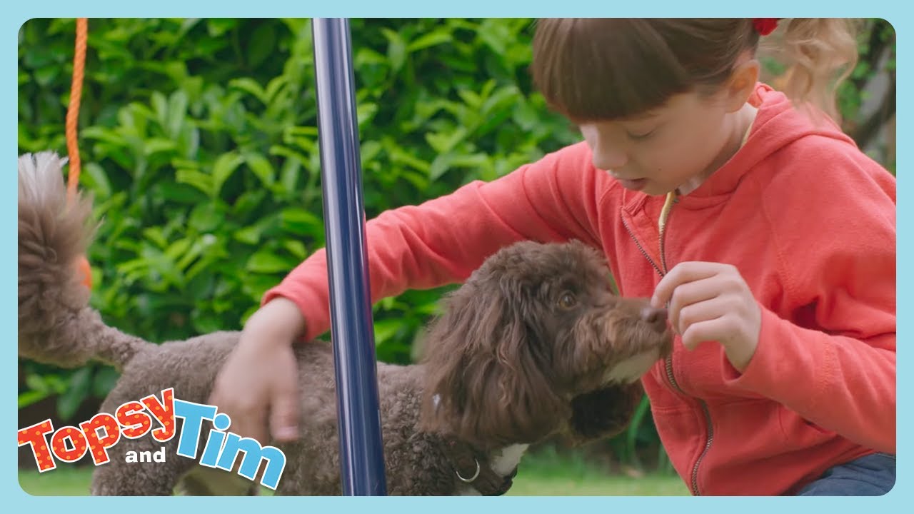Topsy et Tim en Français | Nouveau chien | WildBrain Enfants | Compilation d'Épisodes