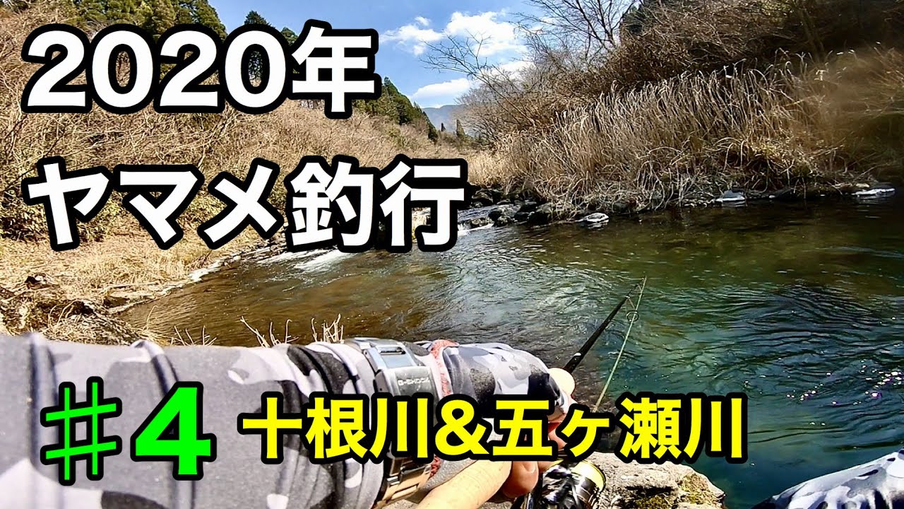 宮崎県 渓流でヤマメを狙ってみた！#4