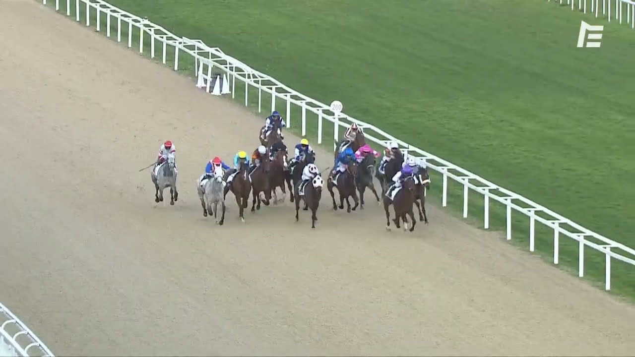 26ème victoire de Célestine Bouvier associée à Mungasha à Cagnes-sur-Mer le 21 février 2026