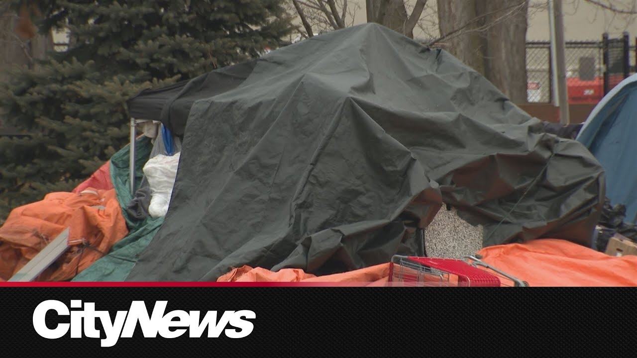 Homeless numbers have increased by 25% in Ontario since 2022: report