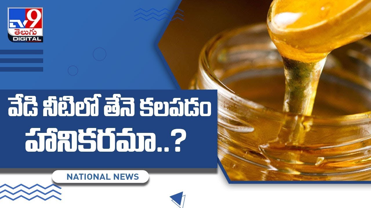 Honey in warm water harmful to health, here's why - TV9