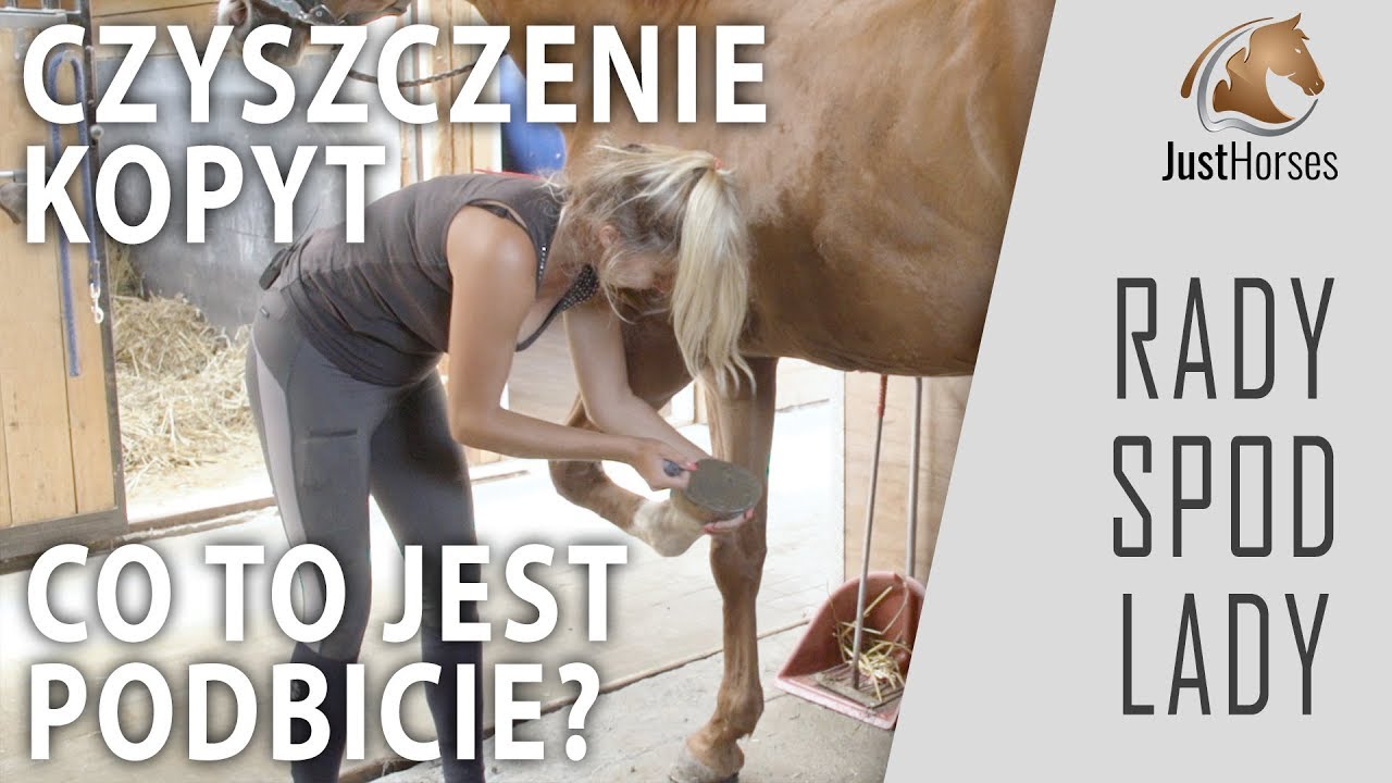 Czyszczenie kopyt, co to jest podbicie kopyta - RADY SPOD LADY