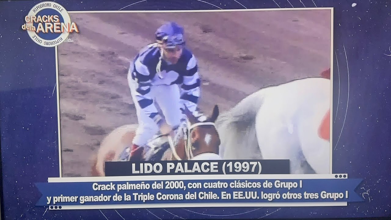 Cracks De La Arena: Lido Palace (1997-2020)