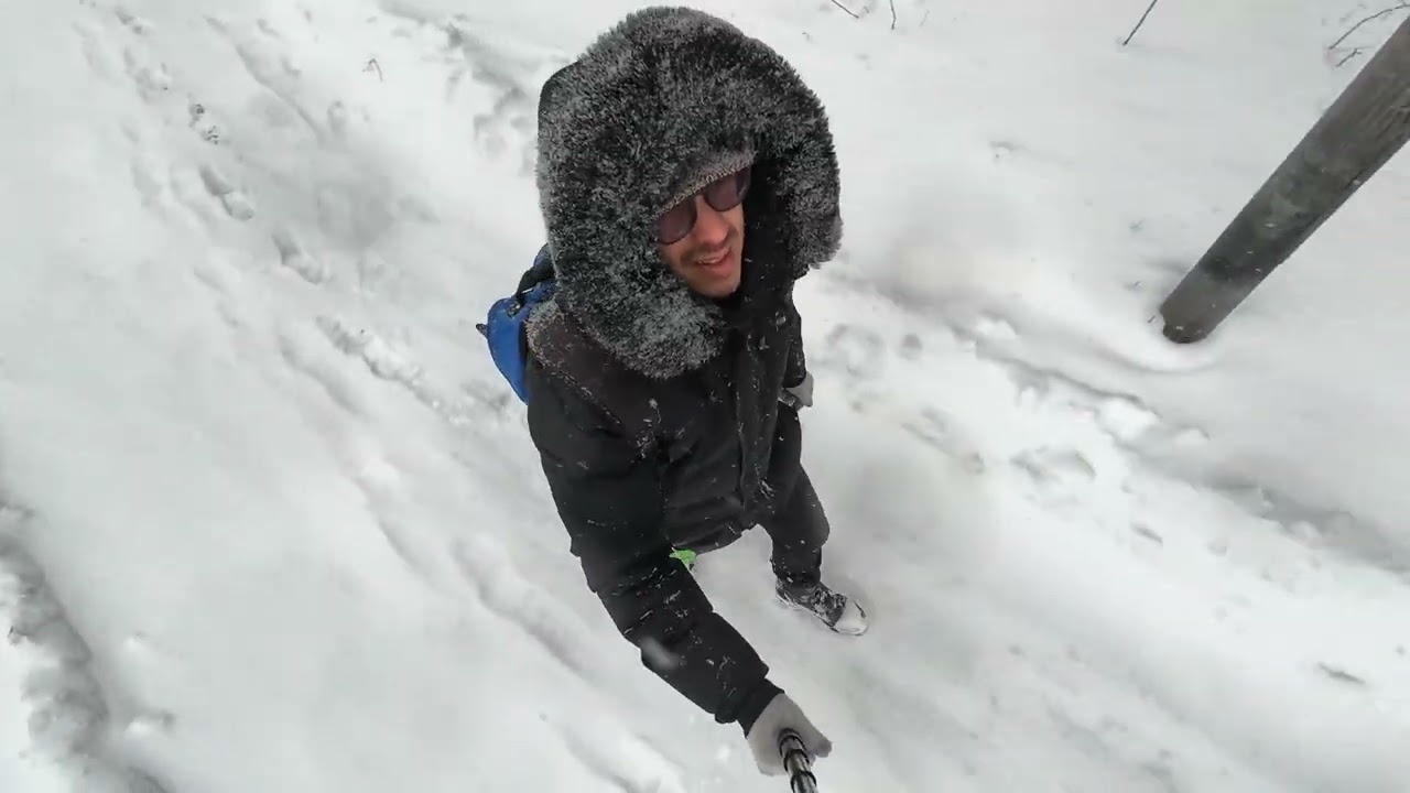 Snow in Sweden | 4K