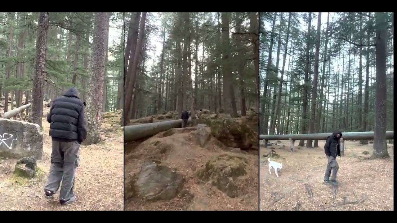Fairy Forest // Pulga / Treak  himachal  Moving Tales by  Ammy