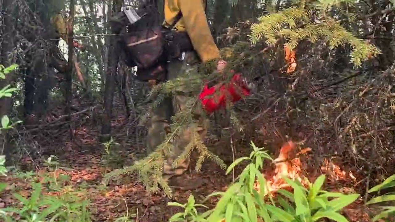 Parks Highway - Firing operation - Bonanza Creek Fire July 3, 2025