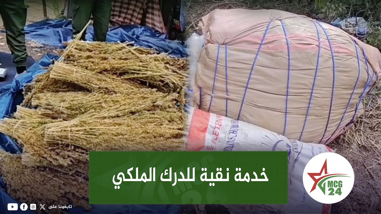 الدرك الملكي دا همو غابة 33 بالمحمدية و شدو بـ.ـزنـ.ـا ز كيبيع لحـ.ـشـ.ــيـ.ـش