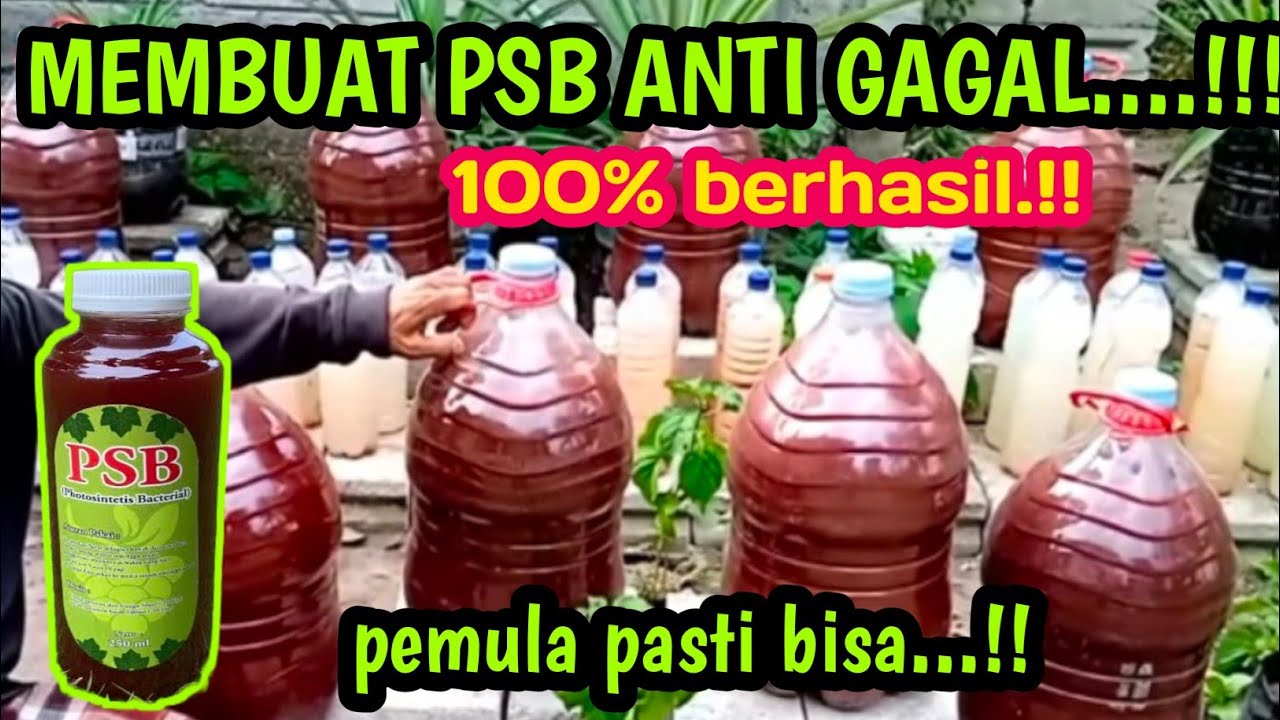 Membuat PSB Anti gagal || 100% berhasil