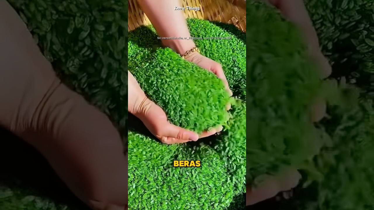 Beras dari Bambu?