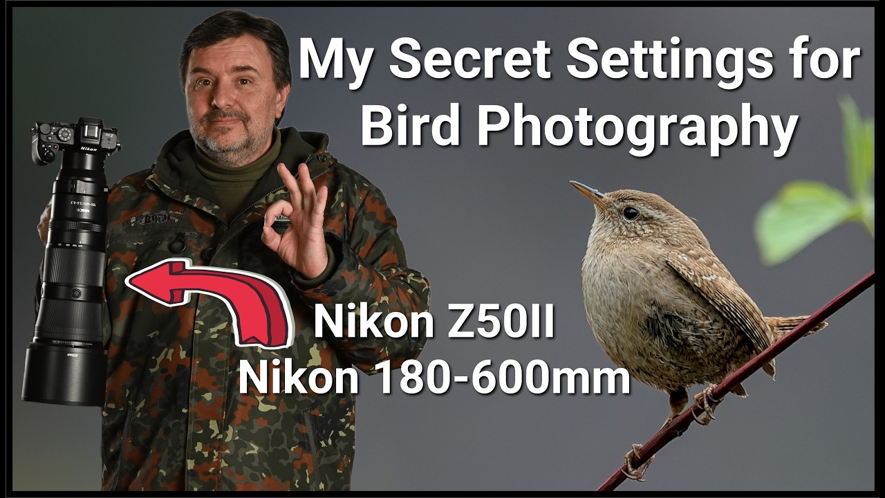 Nikon Z50 II, The most important settings for wildlife photography