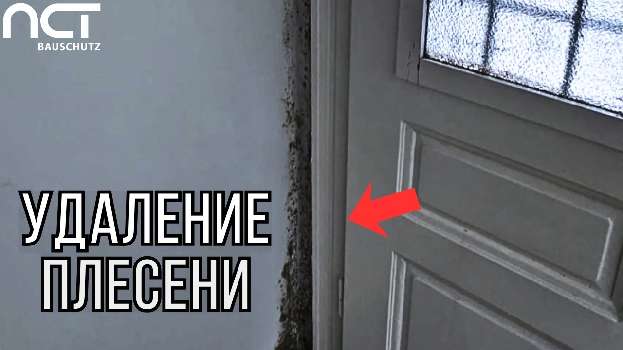 Осушение стен и удаление влаги и грибка в квартире в старом доме в Вене