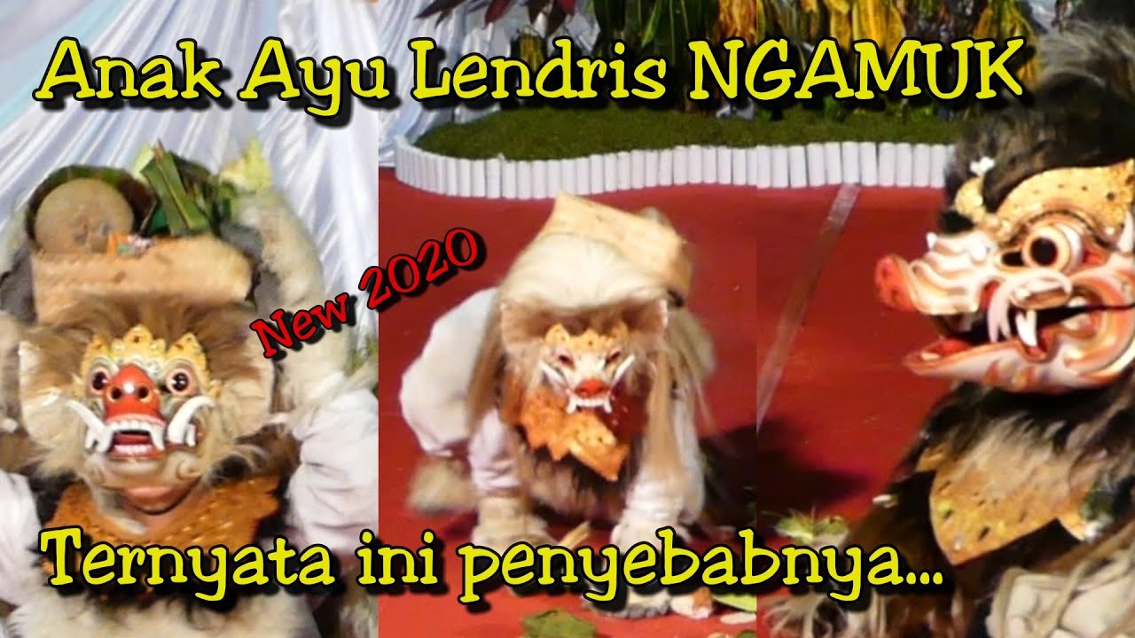 Barong Bangkal Ayu Lendris main bonsai Kelapa Daksina 😂