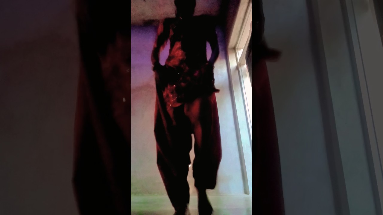 The LeaP of LifE # skinny song # viral # video 📷