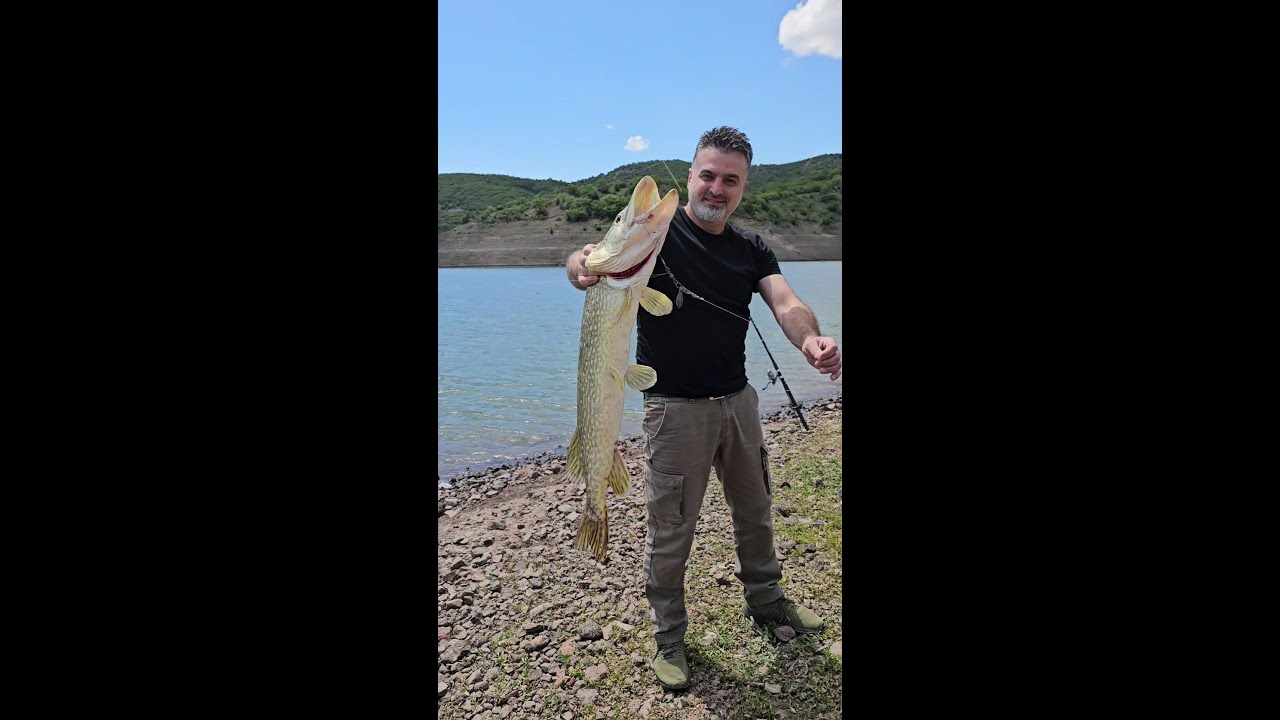 BÜYÜK TURNA BALIĞI AVI KIZILCAHAMAM... #yenivideo #turnaavı #turnabalığıavı #turnabalığı #bigpike