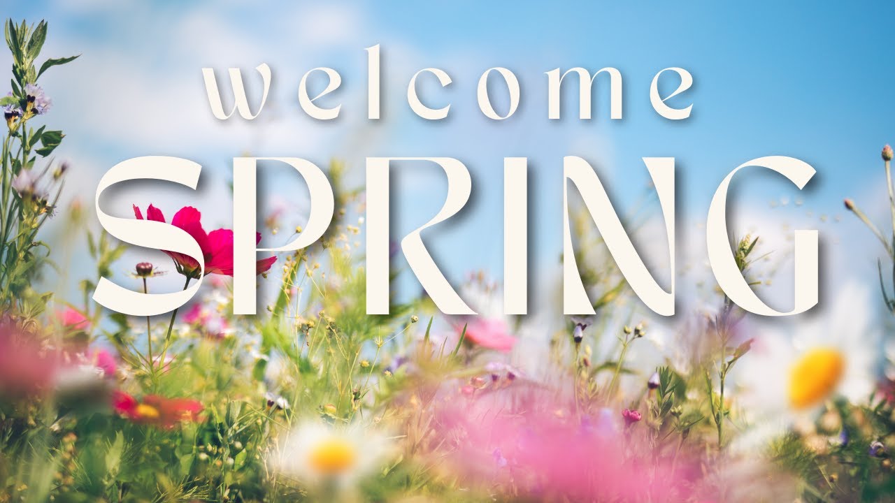 Affirmations for the First Day of Spring | Abundance, Growth & Positive Mindset Guided Meditation