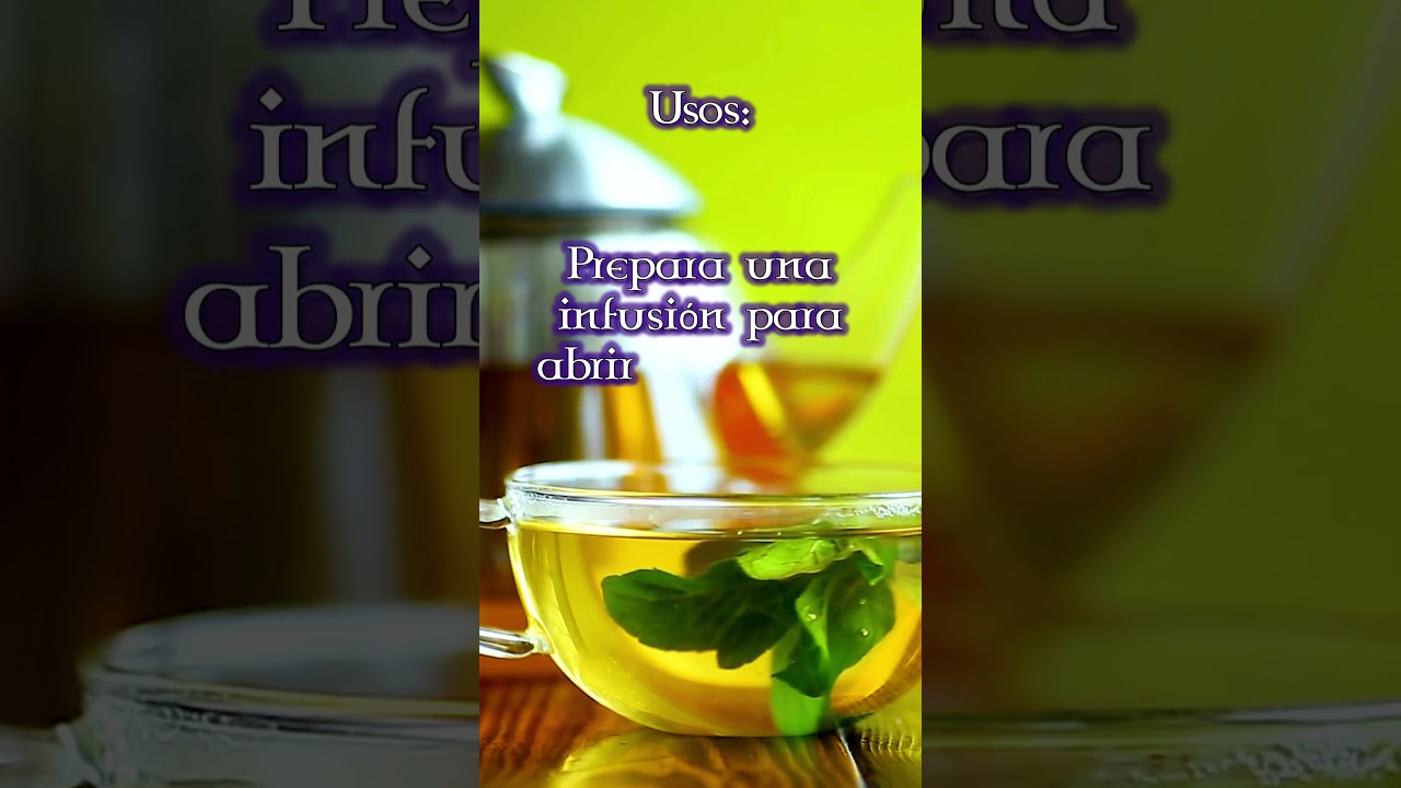 🌿 Menta M&aacute;gica: Claridad, Protecci&oacute;n y Prosperidad