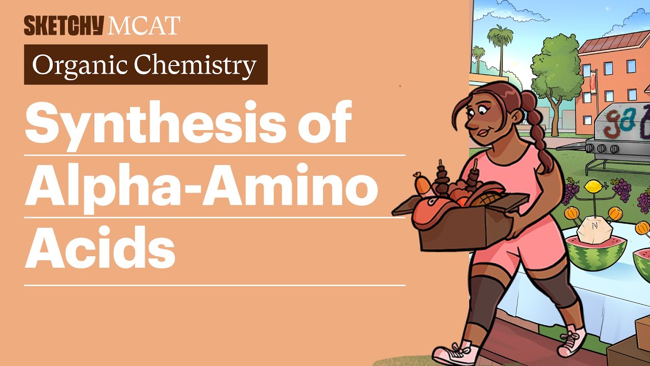 Synthesis of Alpha-Amino Acids: Strecker & Gabriel (Full Lesson)  | Sketchy MCAT