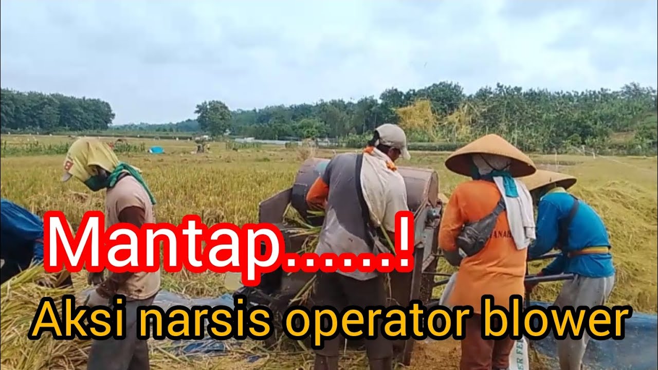 Operator blower lagi narsis tau lagi di video #fypシ゚viral #viralvideo #operatorblower#petanimuda