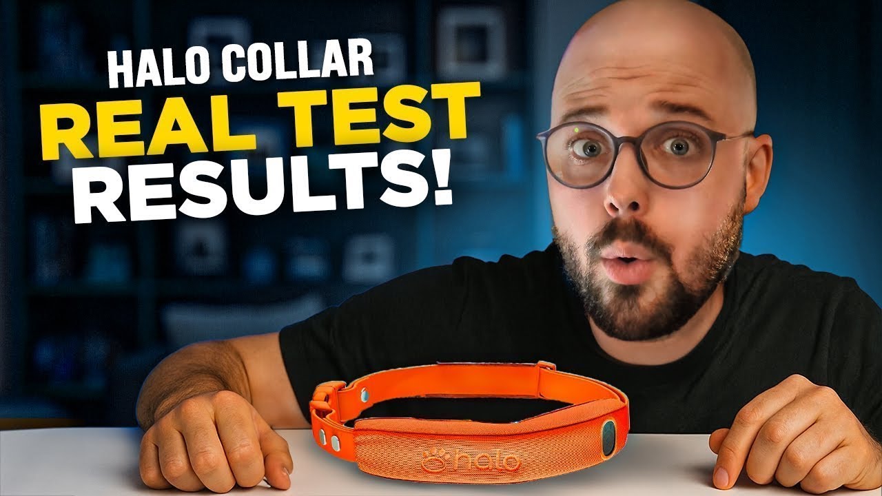 Halo Collar Review: Real Test Results After 5 Fence Trials
