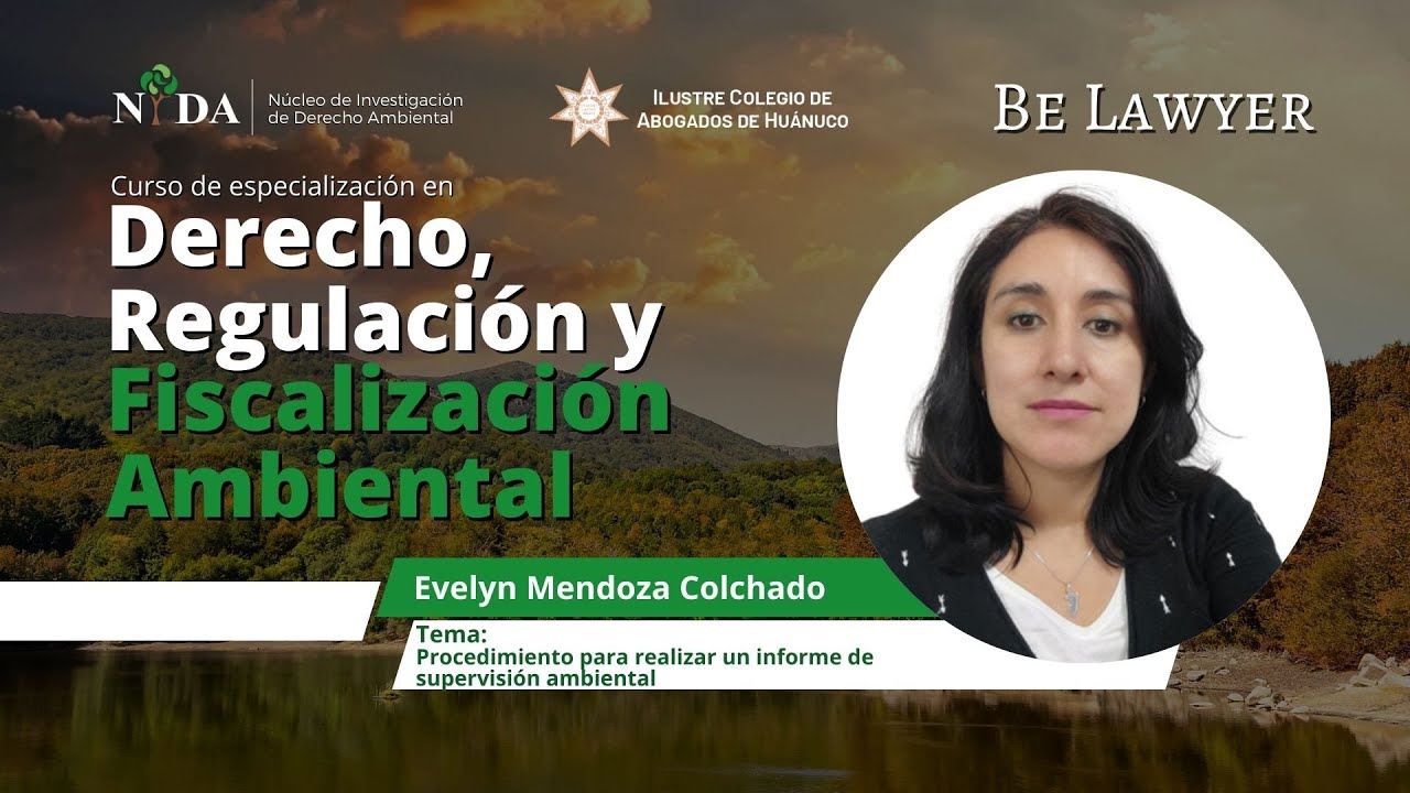 19. Procedimiento para elaborar un estudio de impacto ambiental (EIA-d y EIA-sd) | Be Lawyer