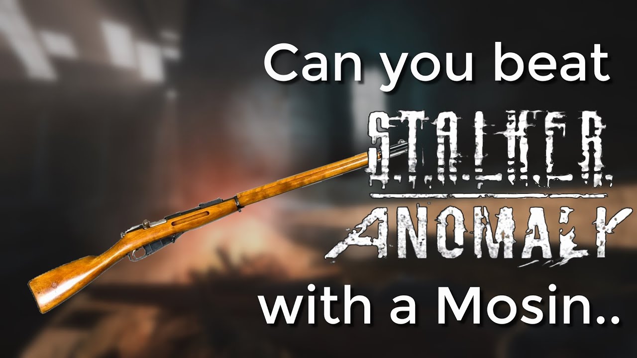 Можно ли победить STALKER Anomaly с помощью винтовки Мосина?