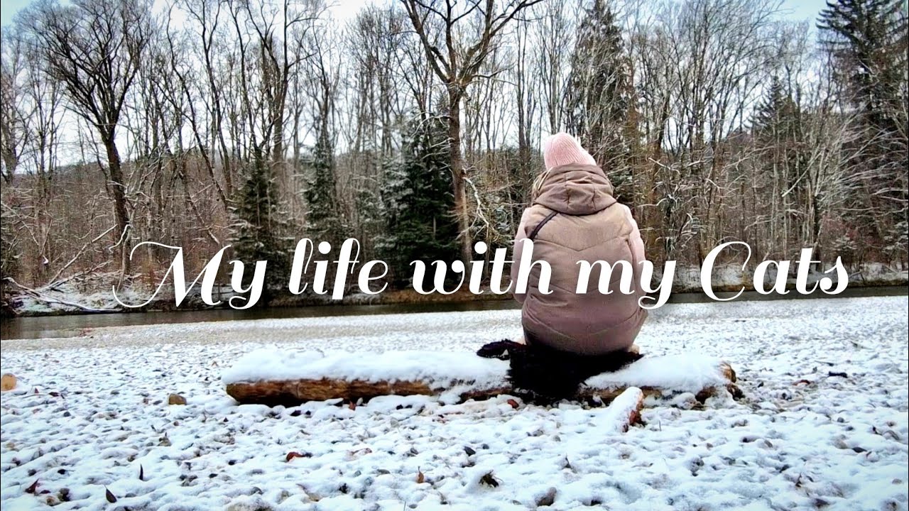 Slow routine alone |  | Me & my Cats
