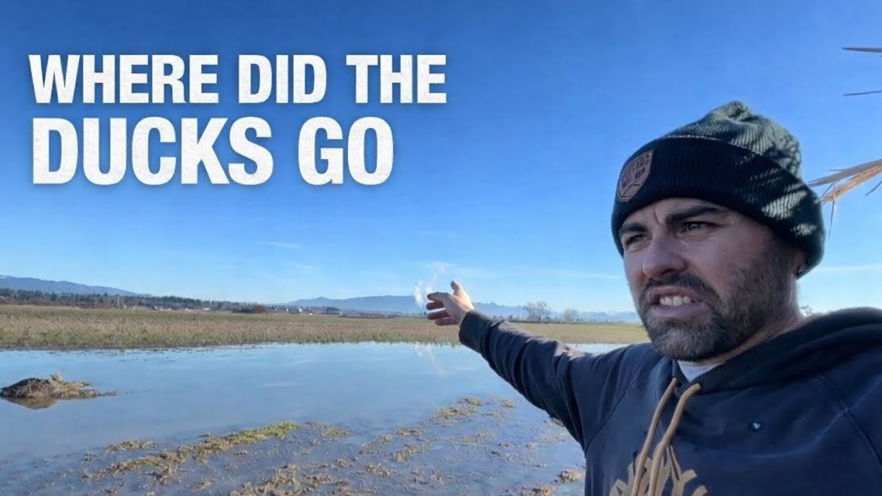 Scouting Public Land | Where Did All the Ducks Go?