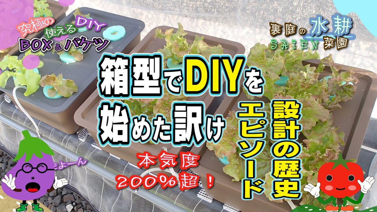【DIY水耕栽培】BOX型の容器を自作する理由とは？