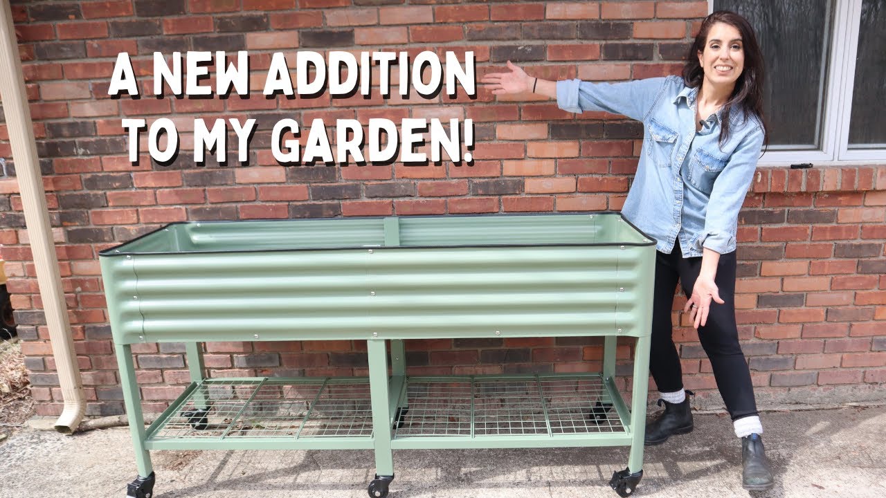 Maximize Your Small Space with the Vego Elevated Garden Bed