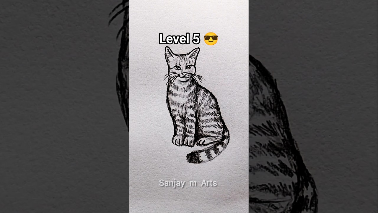 Рисование кошки в 6 уровнях ✏️ #рисунок #какрисовать #эскиз #процессрисования #искусство #коротки...