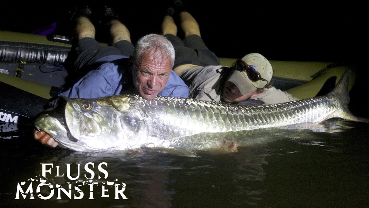 Der Atlantische Tarpun Im Herzen Mittelamerikas  | S5 E01 | Fluss Monsters