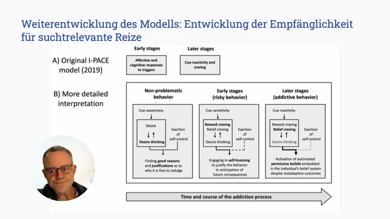 IPACE Modell für Online