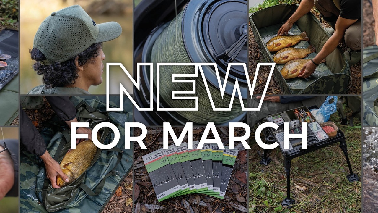 New For march | 2026 | Korum