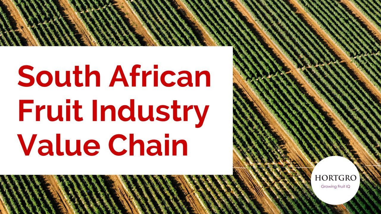 South African Fruit Industry Value Chain