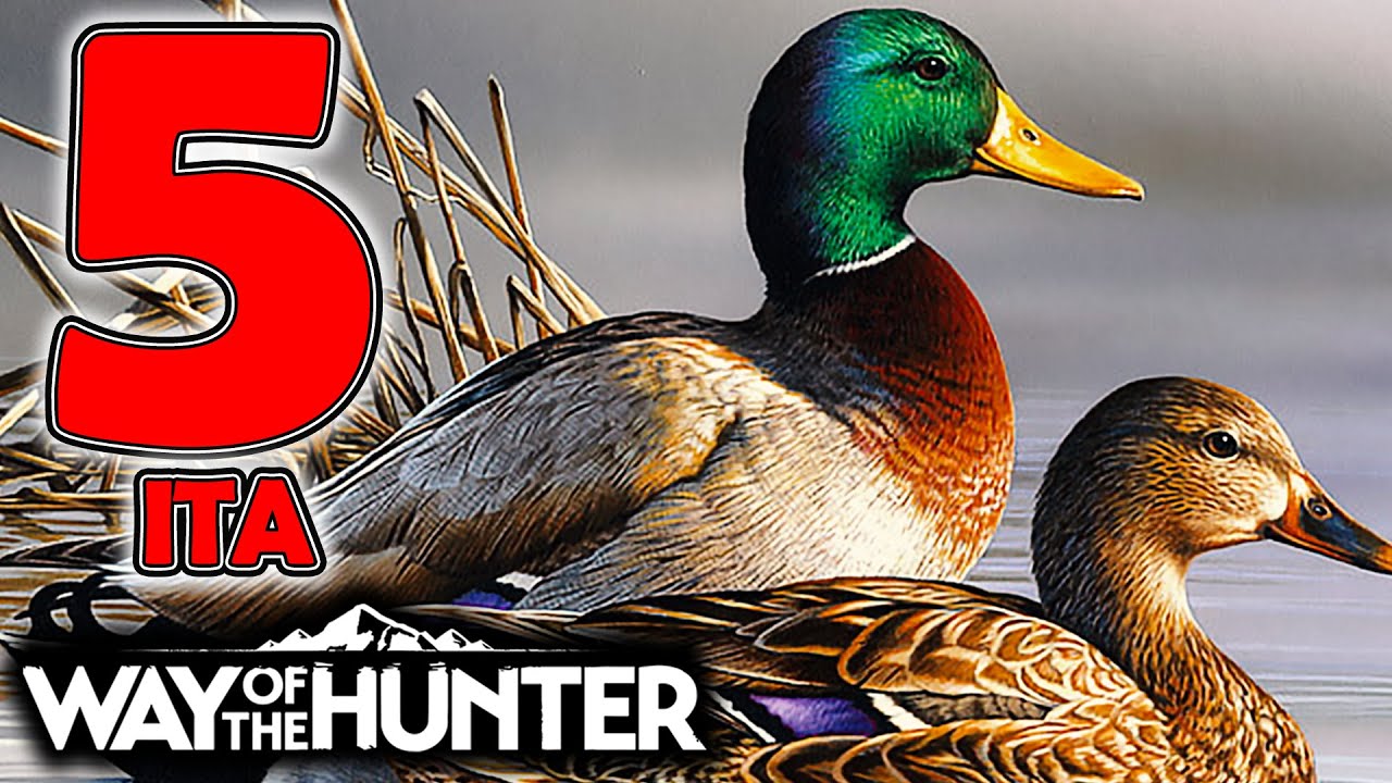 WAY OF THE HUNTER ITA - Il Foie Gras GERMANO REALE [Gameplay ITA Ep 5]