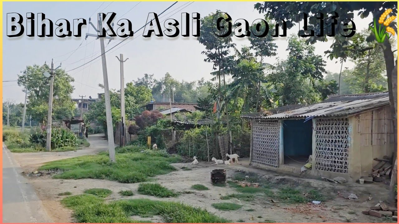 village life in india | Bihar village life vlog | Rural India