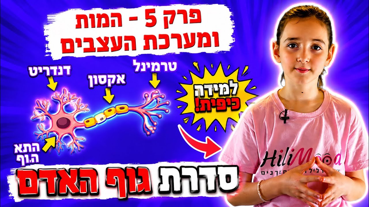 הילימוד - גוף האדם | פרק 5 - המוח ומערכת העצבים | גוף האדם לילדים