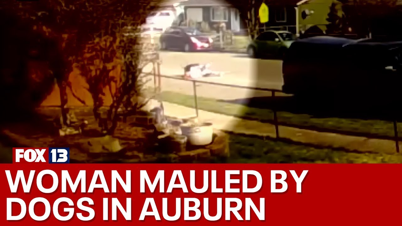 Woman mauled by dogs at documented 'nuisance property' sues King County, dogs' owners