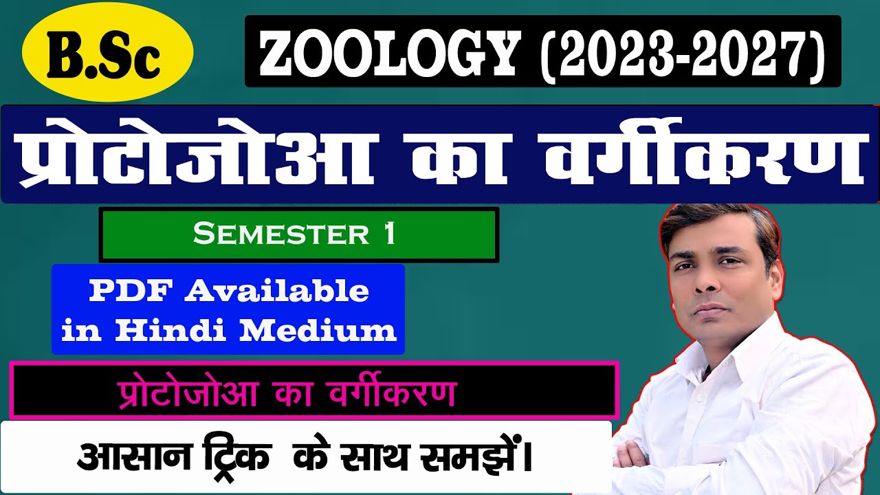 КЛАССИФИКАЦИЯ ПРОСТЕЙШИХ || Классификация простейших #bsc #bsczoology#neet
