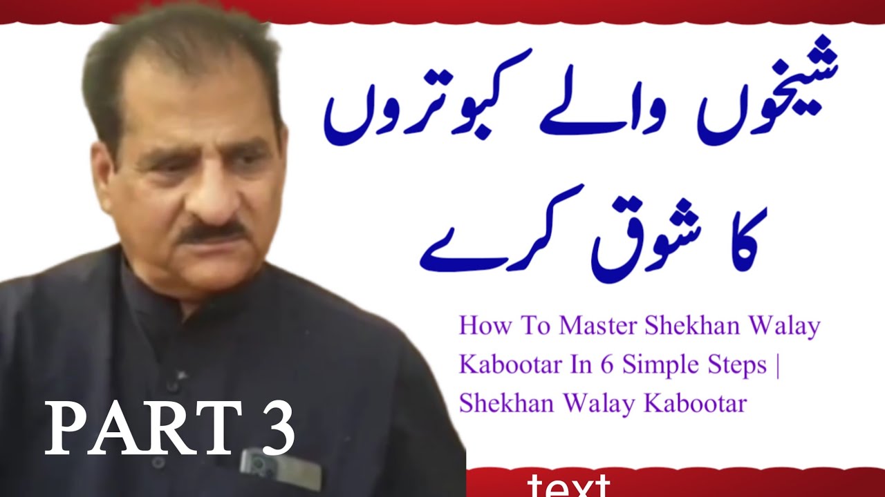 Shekhan Walay Kabootar | Ali Walay Kabootar | 35 walay kabootar