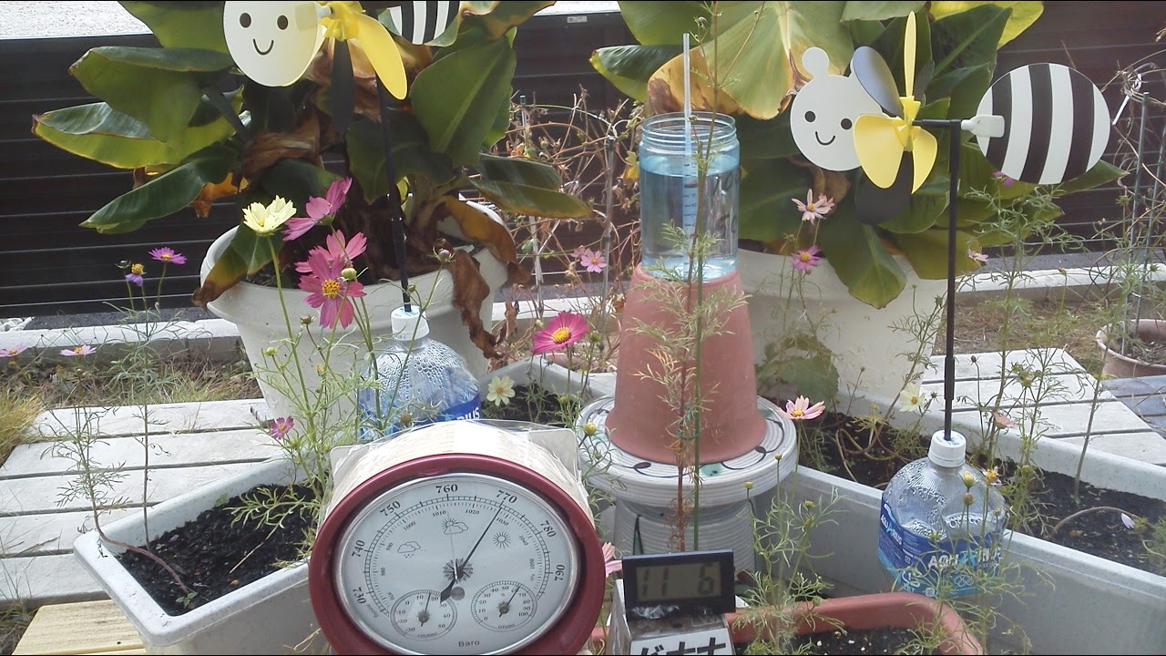 石油ストーブライフ 2026.3.1