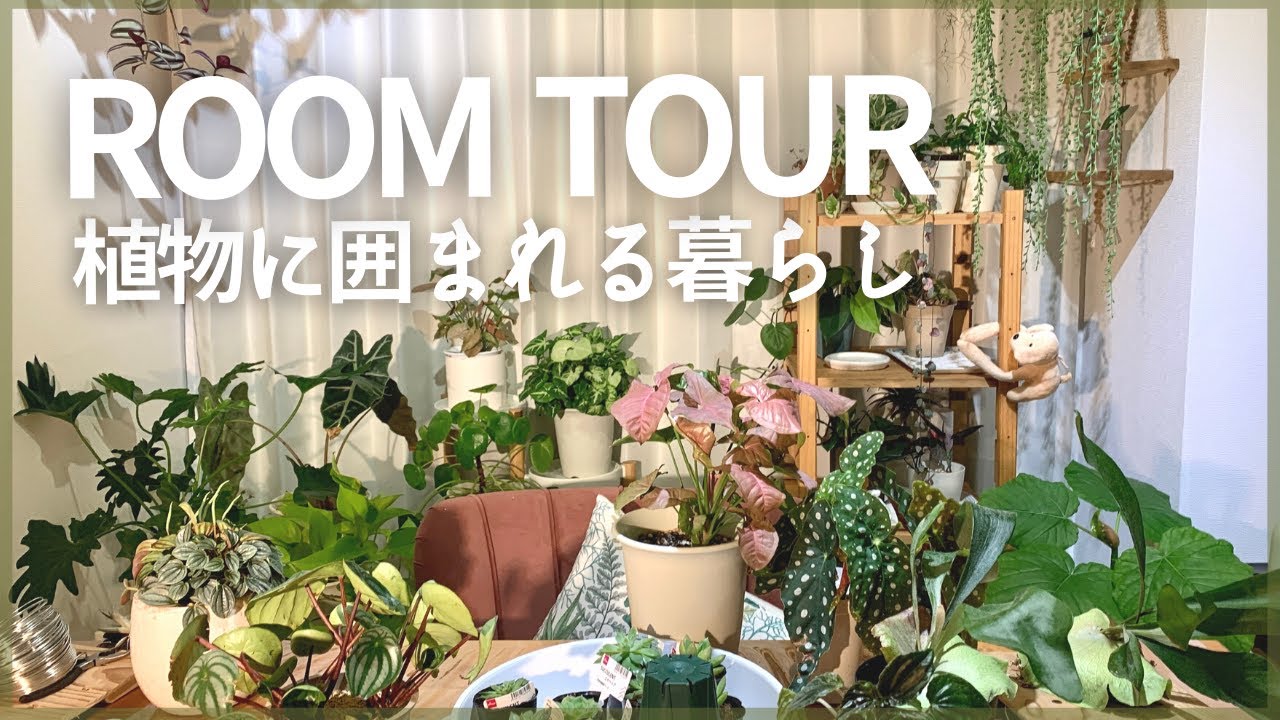 全７１種類のインドア観葉植物ルームツアー【植物に囲まれる暮らし】