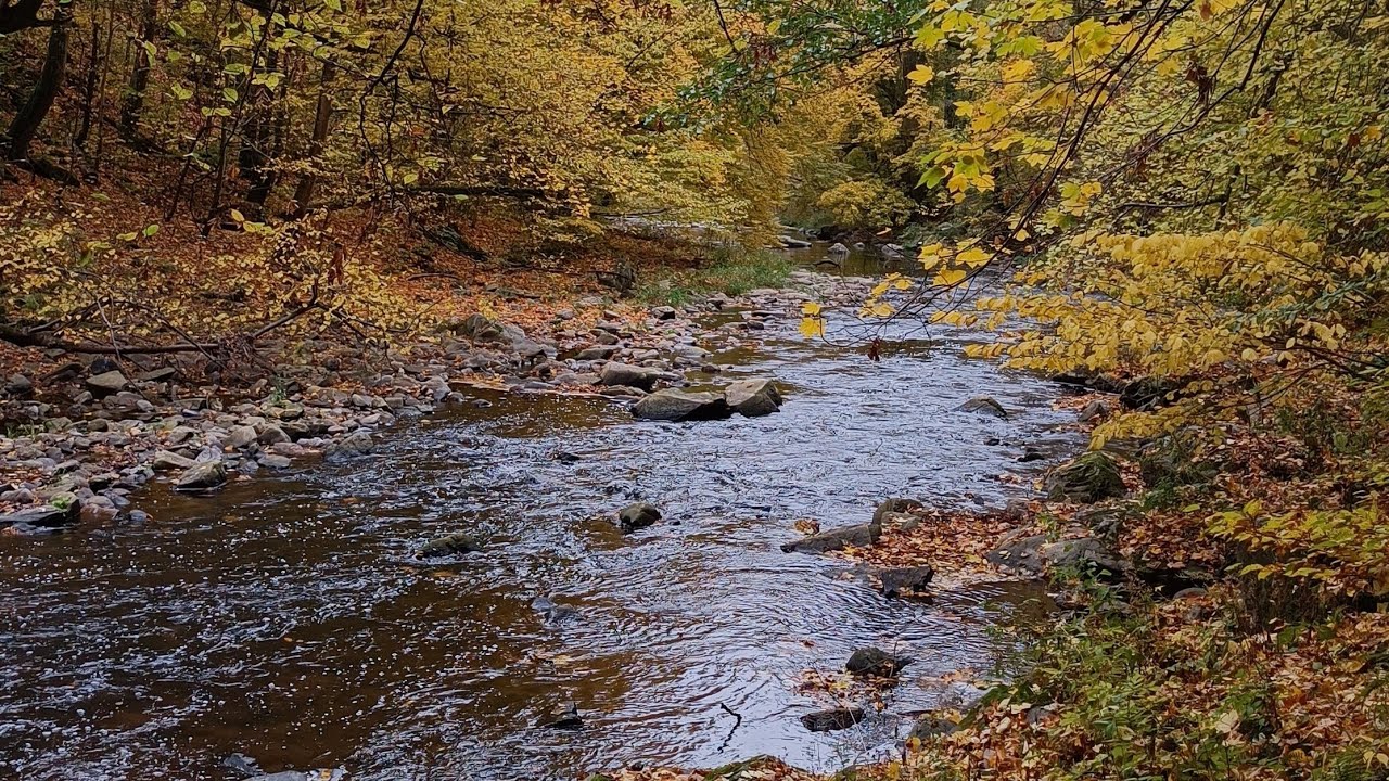 Podzimní vandr - trampské údolí Oslavky, DD Hammocks tarp, spaní na sedleckém hradě
