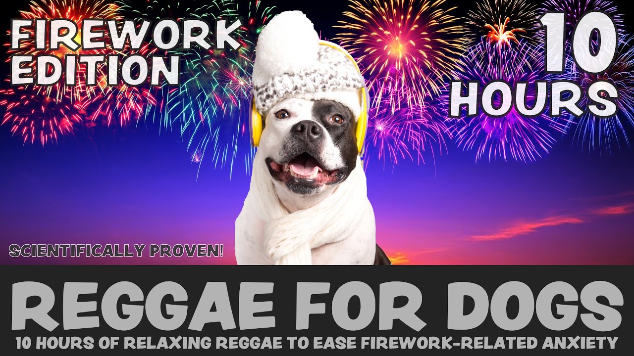 FIREWORK EDITION: 10 Hours of calming Reggae music to sooth firework anxiety
