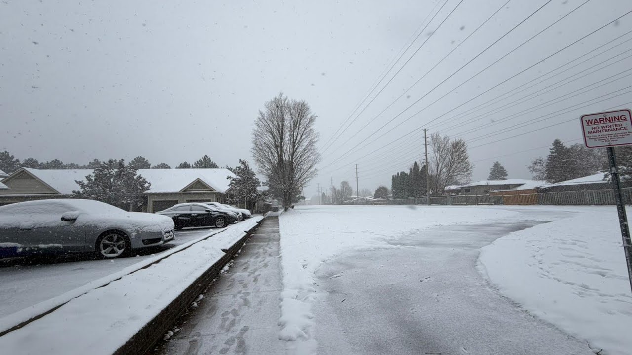 Snow In Kitchener Canada | Winter in Canada | #canada # winter 