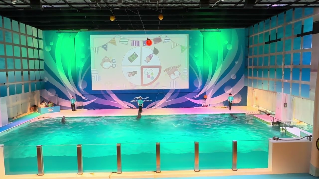 浅虫水族館　Asamushi aquarium full dolphin show July 31 2025. 浅虫水族館　イルカショー　フル　2025.7.31