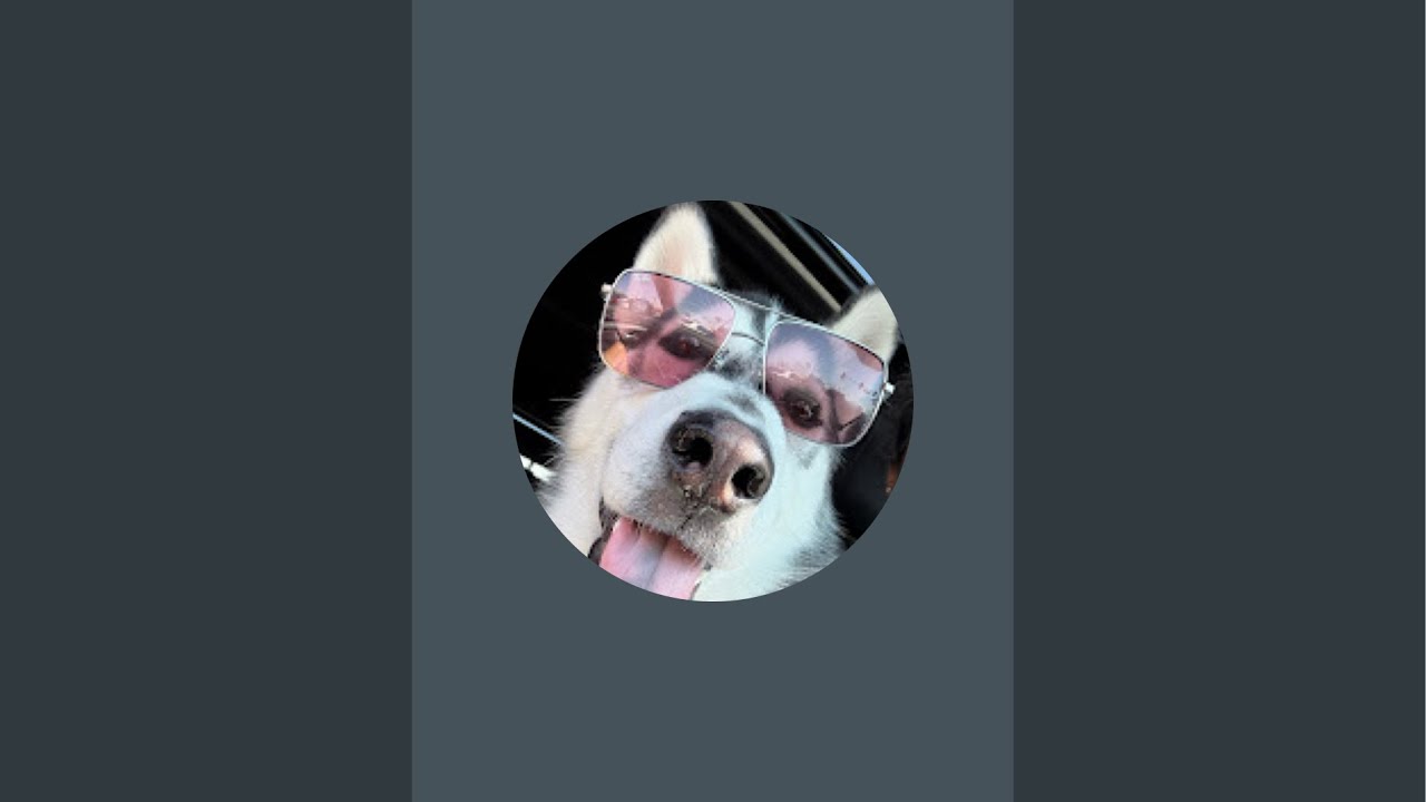 Husky Batman  is live!